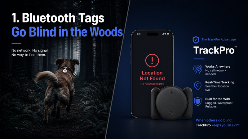 Bluetooth Goes Blind in the Woods