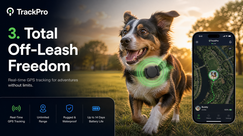 True Off-Leash Freedom