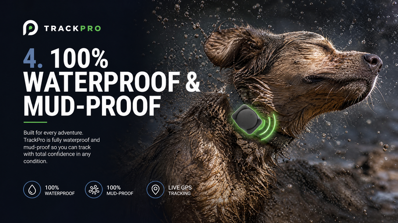 100% Mud, Swim, and Roll Proof