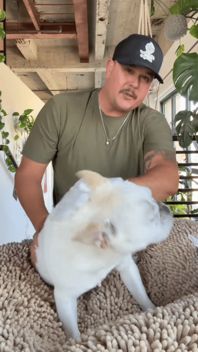 CLEAN THEM WHILE YOU PET THEM