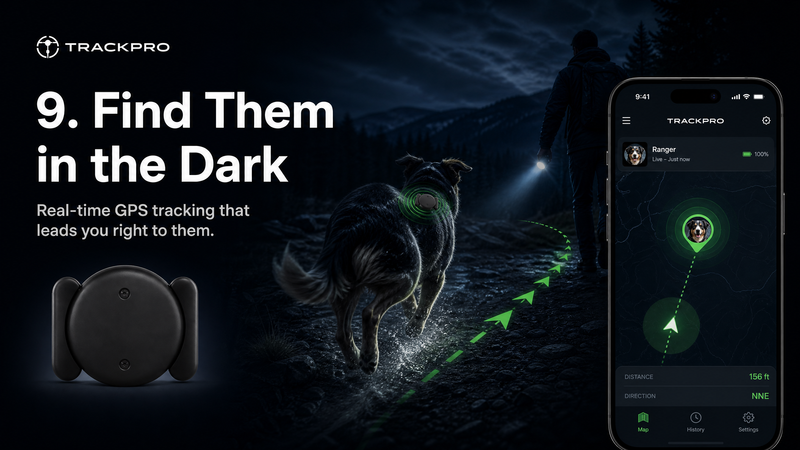 Find Them in the Pitch Dark