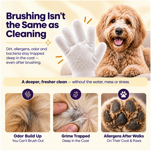 Altrua Deodorizing Pet Glove Wipes
