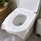 Altrua's Toiler Cover